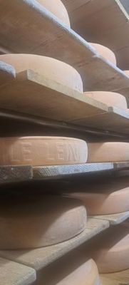 Fromage Raclette d&#39;Alpage &quot;Le Lein&quot;
