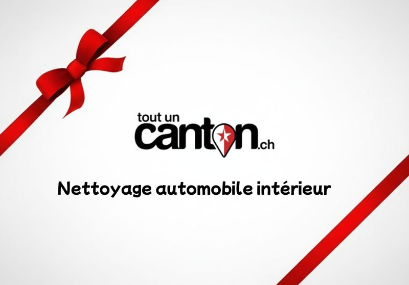 Nettoyage automobile intérieur simple