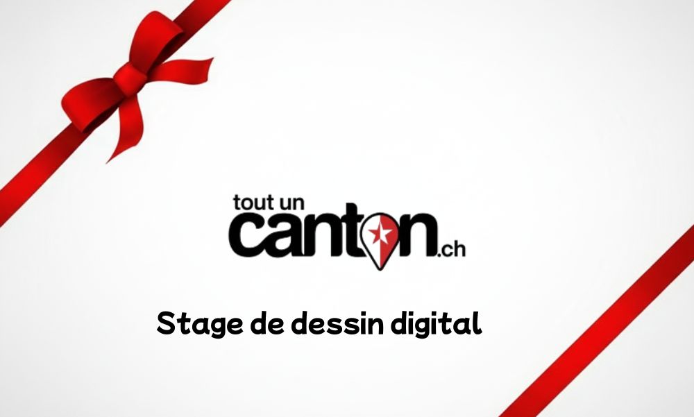 Stage de dessin digital - The Art of Gueguel