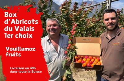 Box d'Abricots du Valais 4kg - Vouillamoz fruits