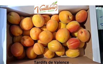 Box d'Abricots du Valais 4kg - Vouillamoz fruits