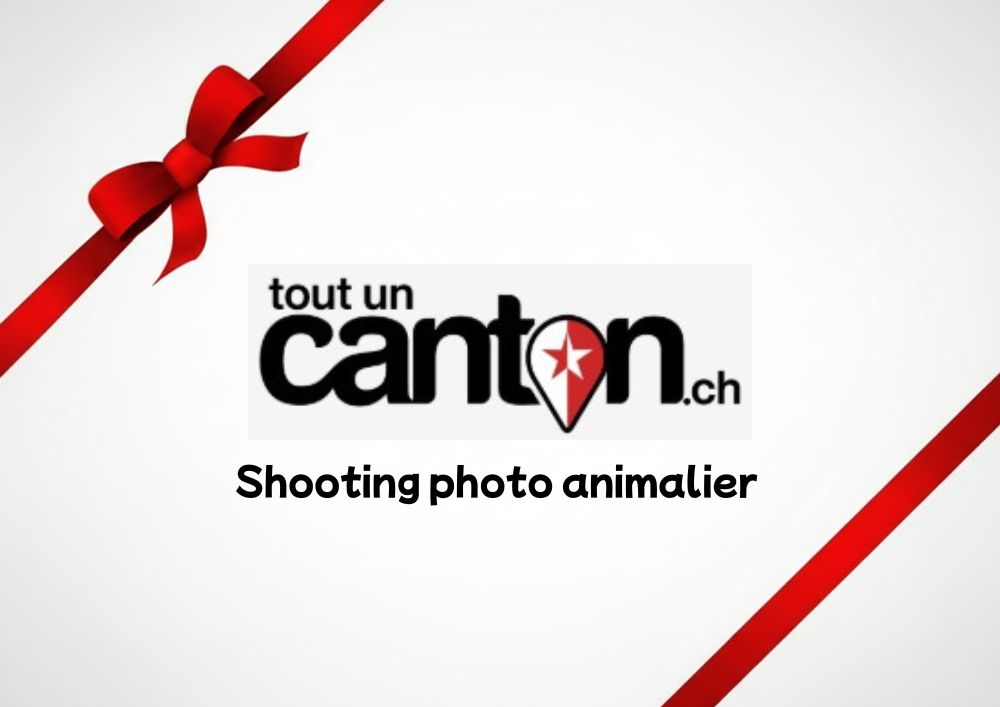 Shooting photo animalier - Sweetheavenorchid