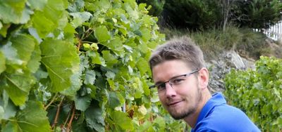 6X Pinot Noir 2023 - Cave Corbassière