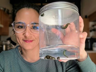 Séance découverte de l'hirudothérapie