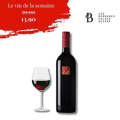 6 X Pinot Noir 2023 - Cave des Bernunes