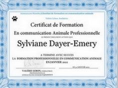 Séance de communication animale