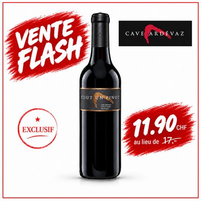 6x Tout Un Pinot 70cl - Cave Ardévaz