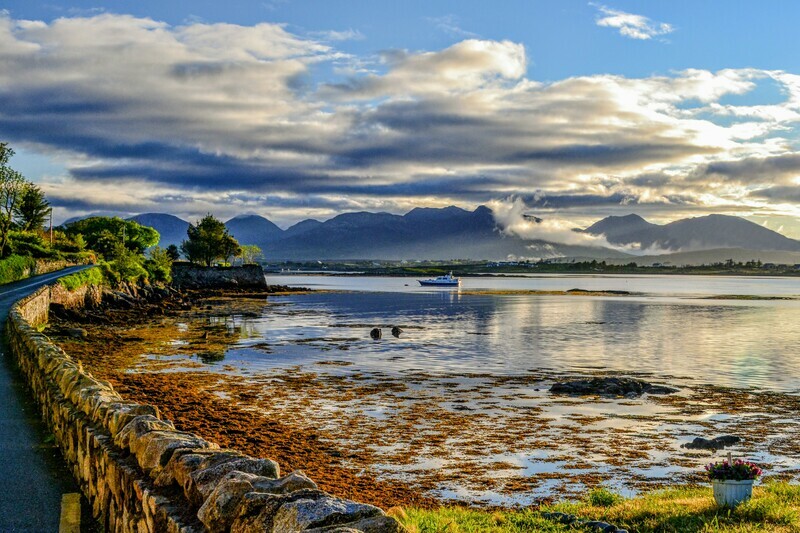 Roundstone