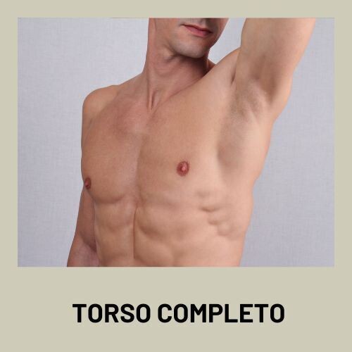 PACK 6 SESIONES TORSO COMPLETO