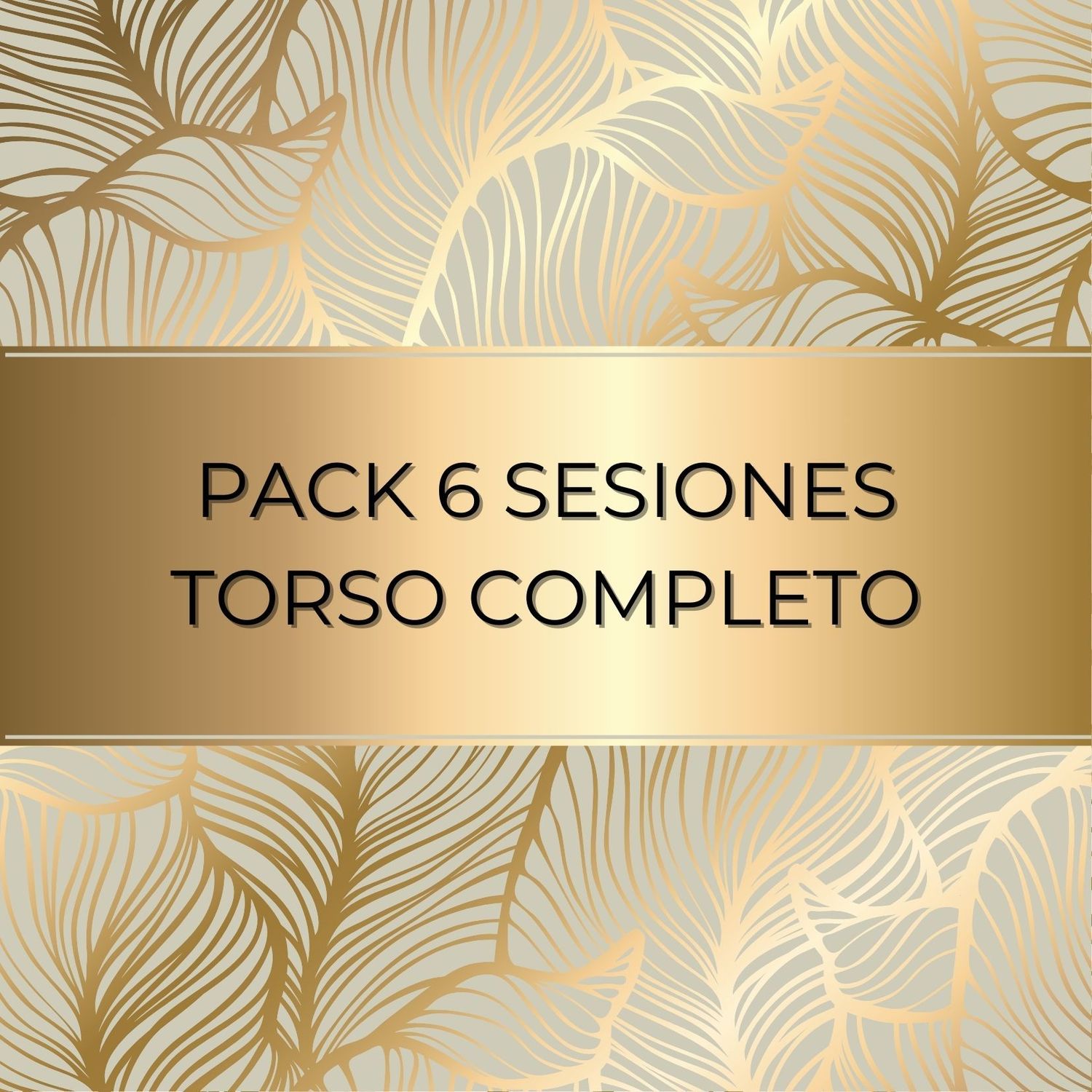 PACK 6 SESIONES TORSO COMPLETO