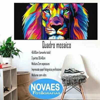 Quadro Mosaico