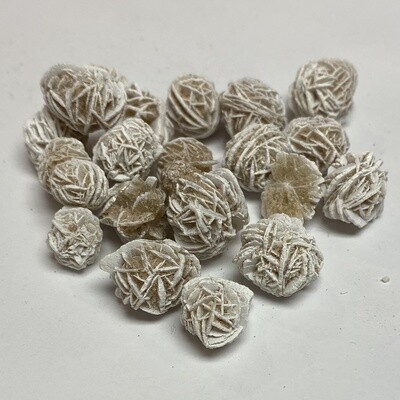 Desert Rose Asst'd Desert Rose Asst'd