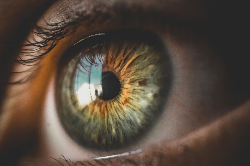 Iridology Books