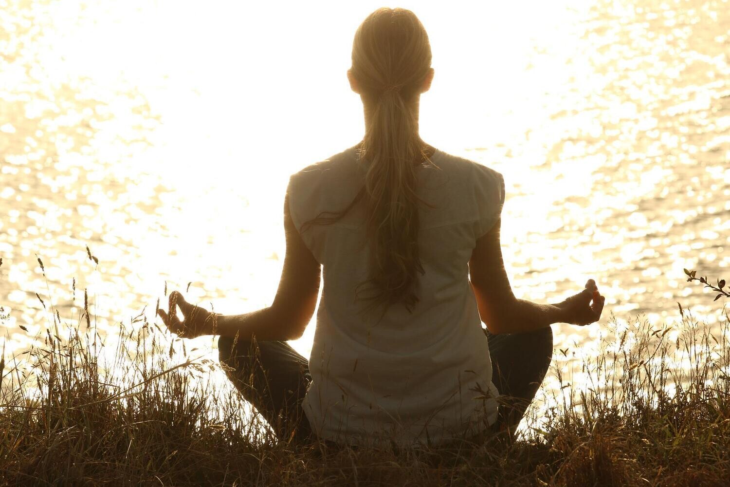 Meditation Books