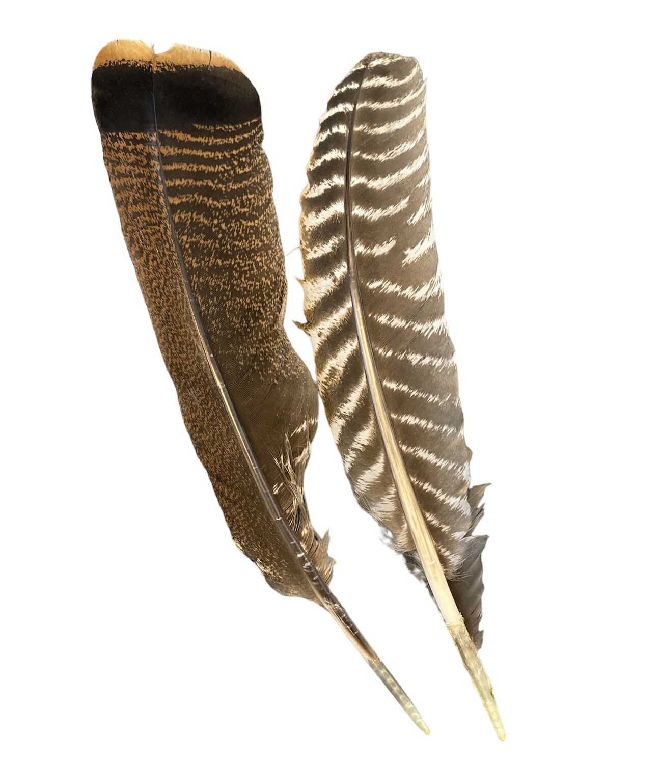 Smudging Feather
