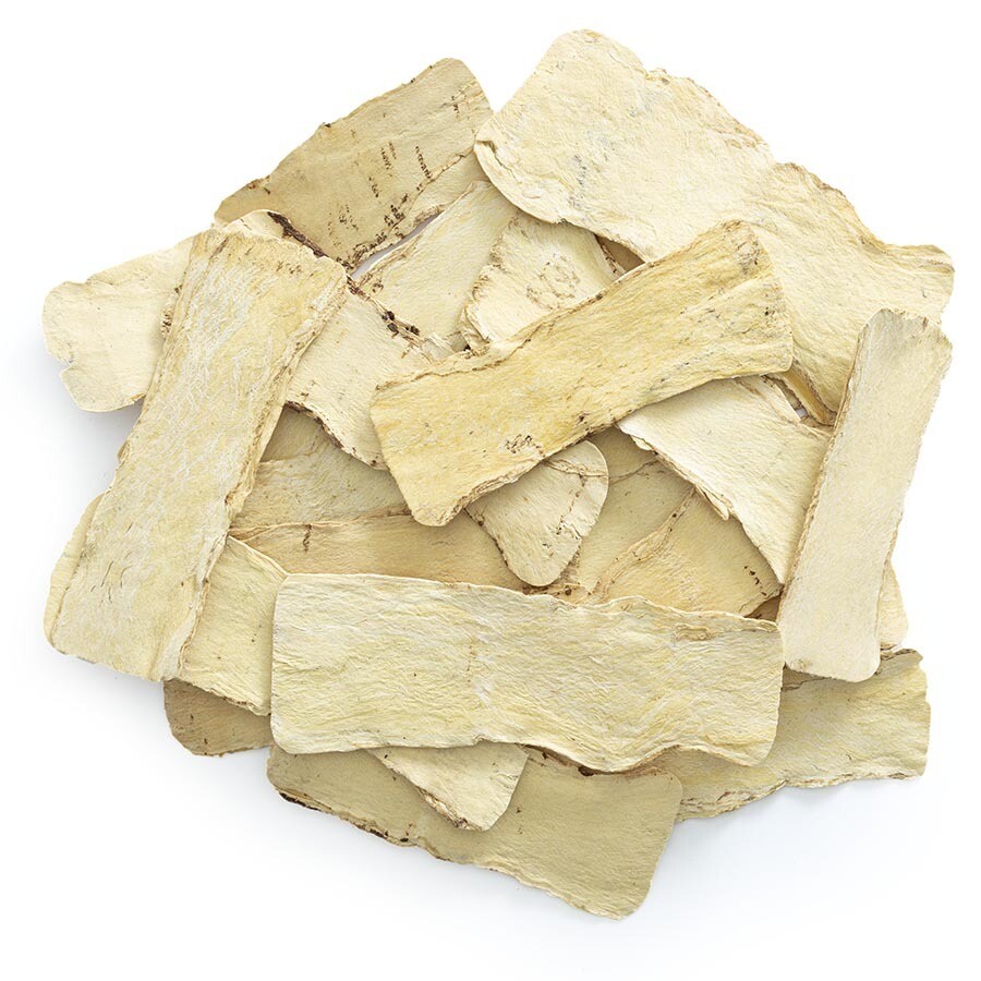 Astragalus Root Slices 3 Pieces