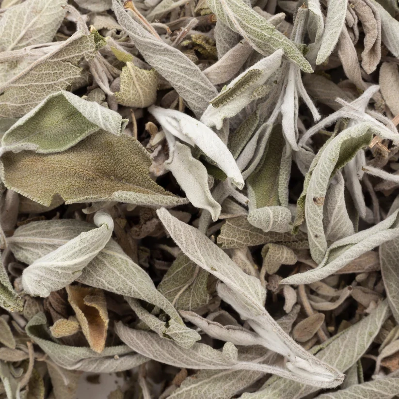 Loose White Sage (WSM)