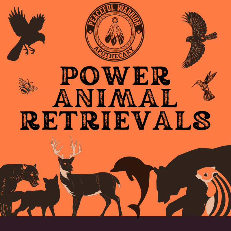 1-Hour Power Animal Retrieval Session Pre-pay