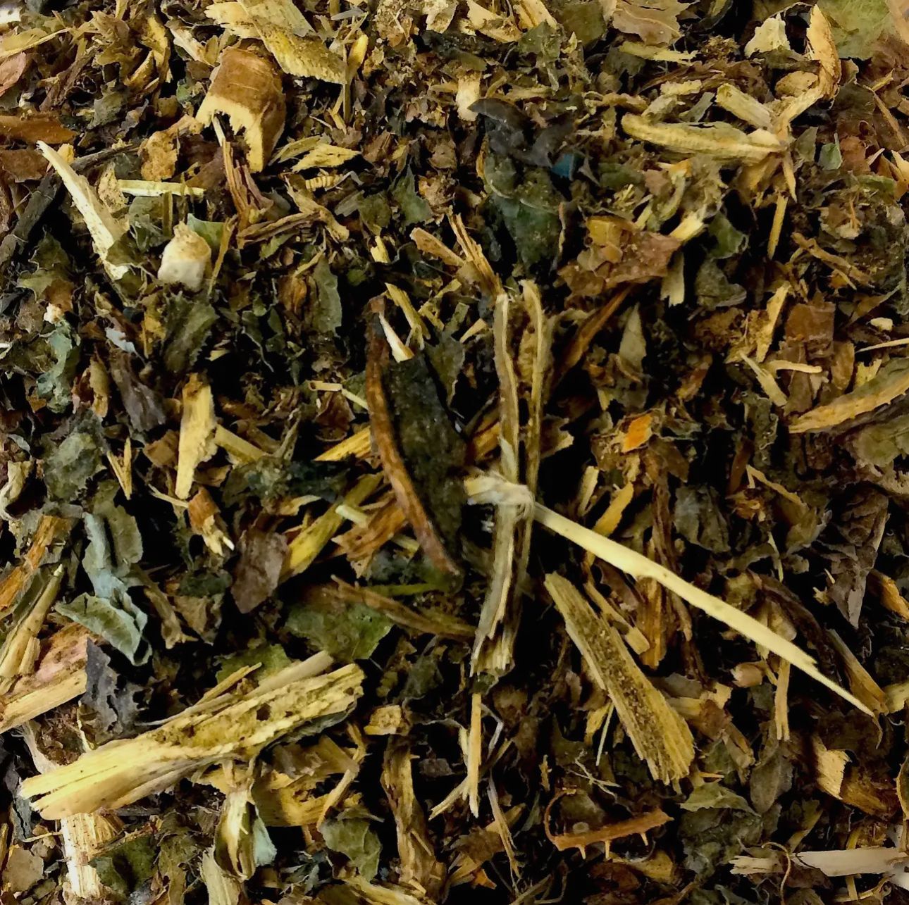 Wild Lettuce (WC) Wild Lettuce (WC)