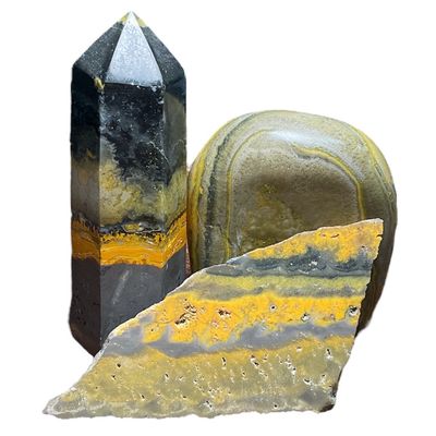 Bumblebee Jasper