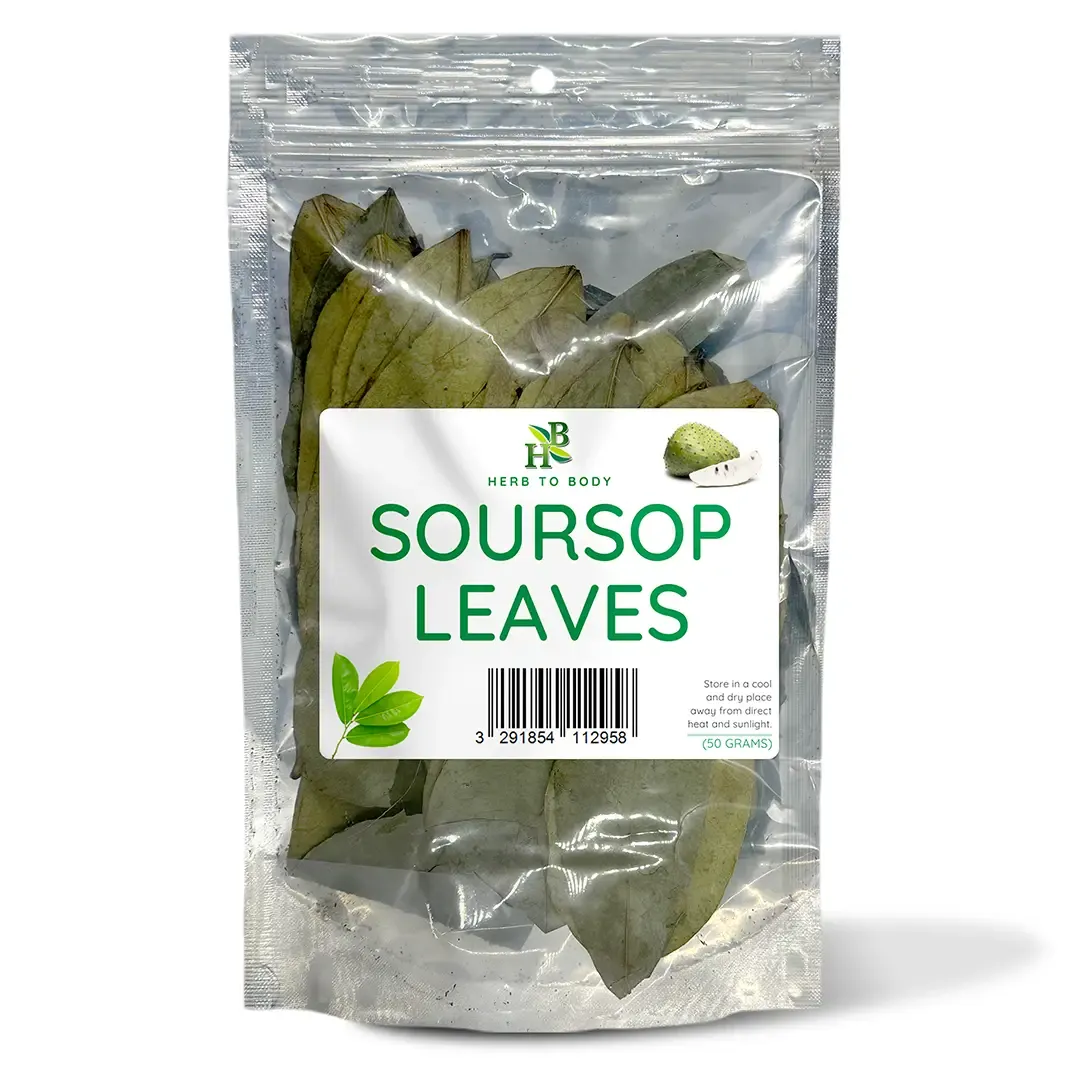 Soursop Leaves 50  Grams (Approx 80 Leaves) Herb to Body