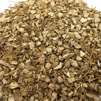 Wild Yam, WC (OB)