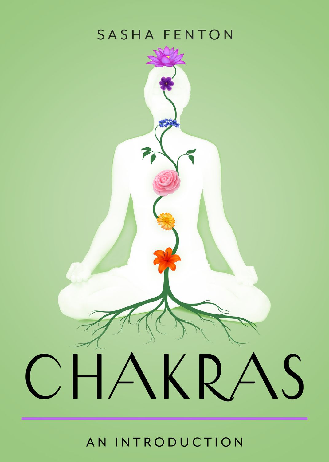Chakras: An Introduction Chakras: An Introduction