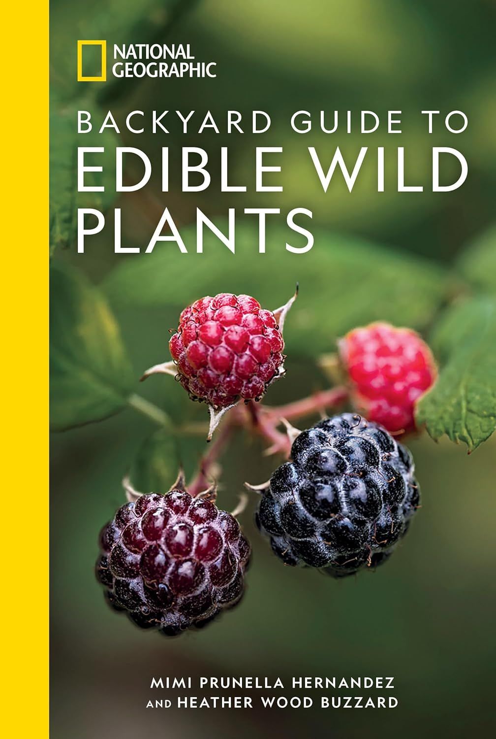 Backyard Guide to Edible Wild Plants Backyard Guide to Edible Wild Plants