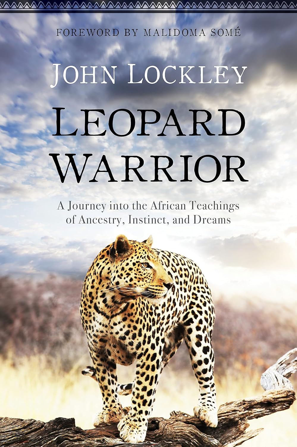 Leopard Warrior Leopard Warrior