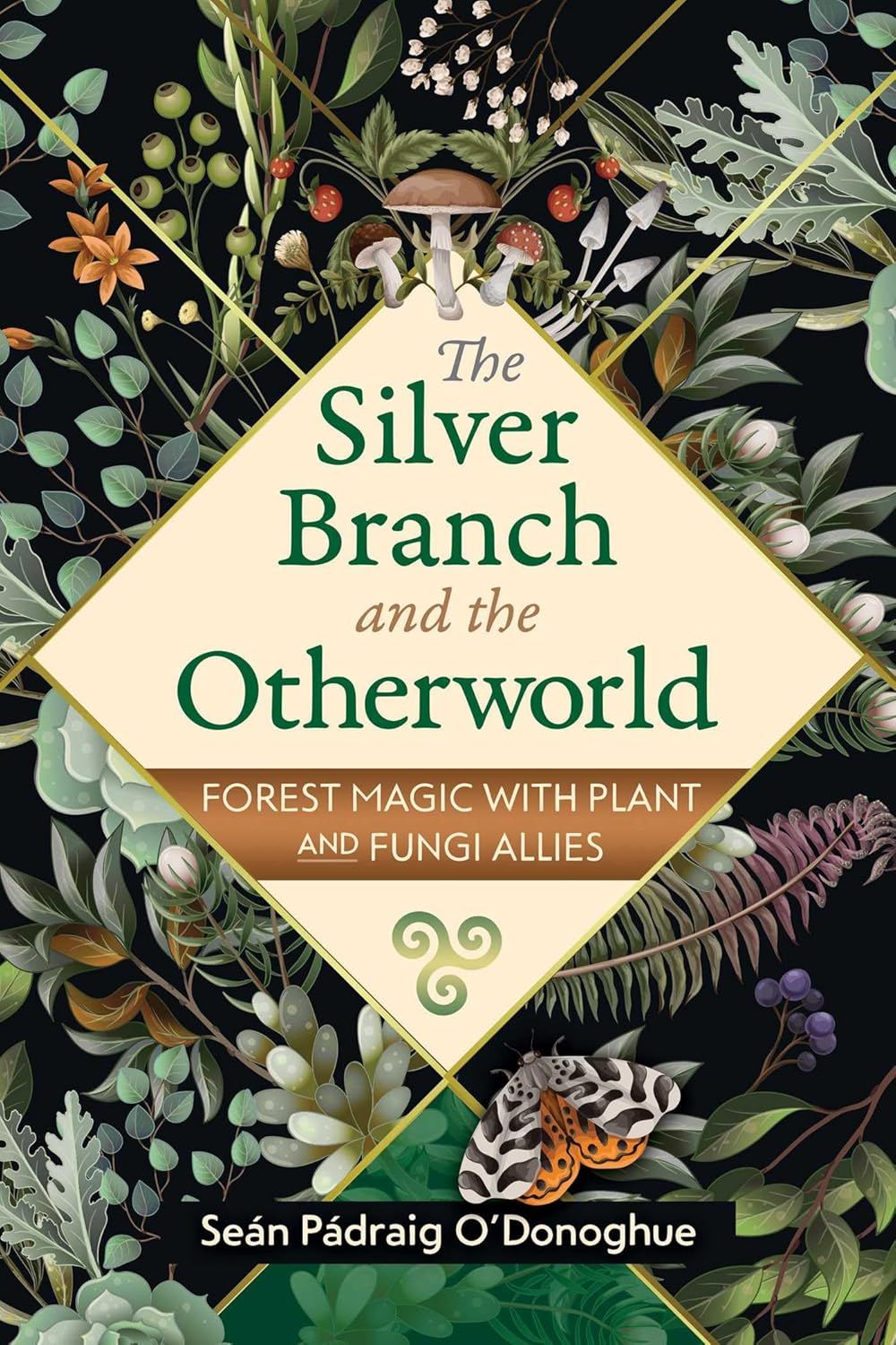 The Silver Branch and the Otherworld The Silver Branch and the Otherworld
