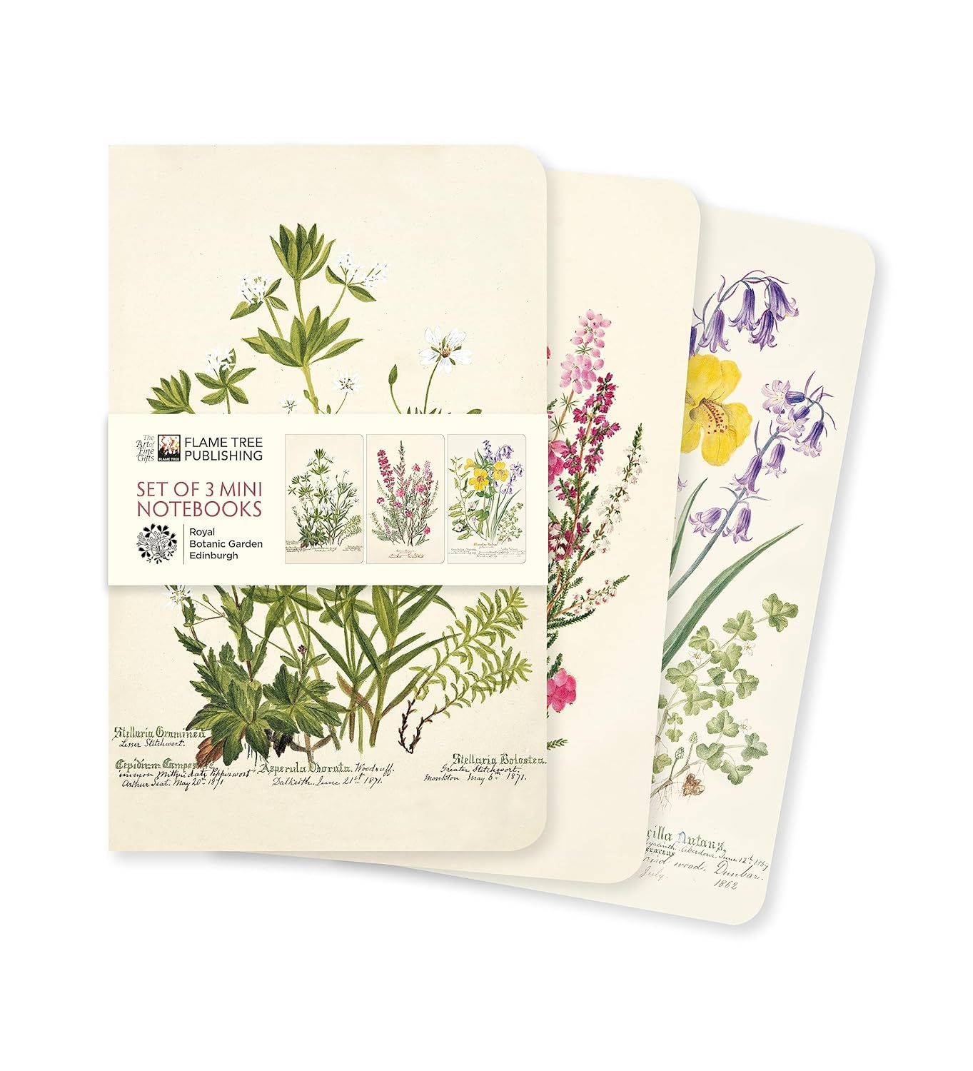 Royal Botanic Garden Edinburgh Set of 3 Mini Notebooks Royal Botanic Garden Edinburgh Set of 3 Mini Notebooks