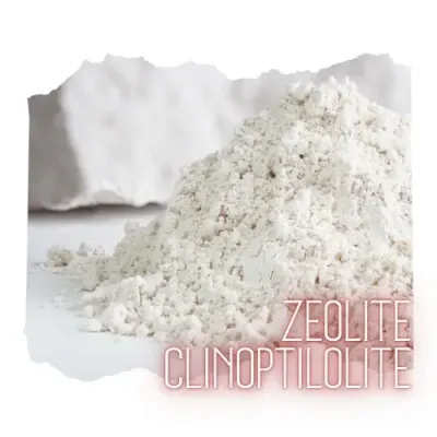 Zeolite Clinoptilolite Powder 1oz - Simply Honest