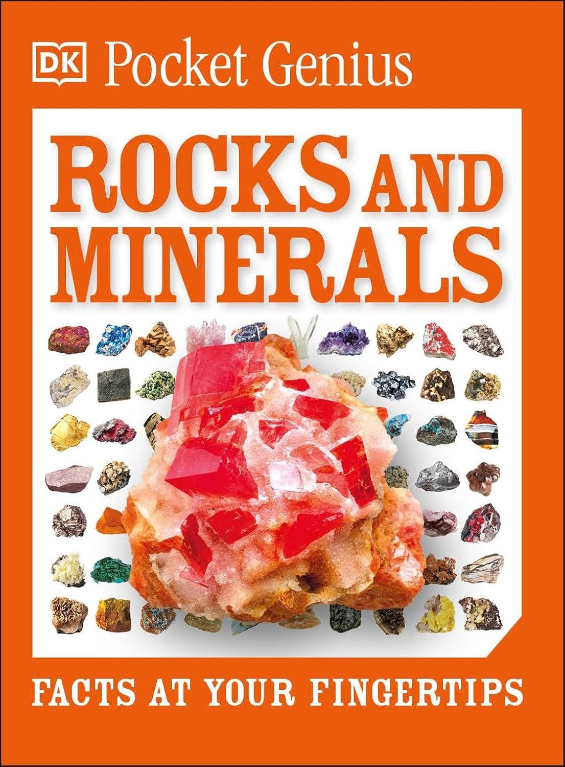 Pocket Genius Rocks & Minerals Pocket Genius Rocks & Minerals