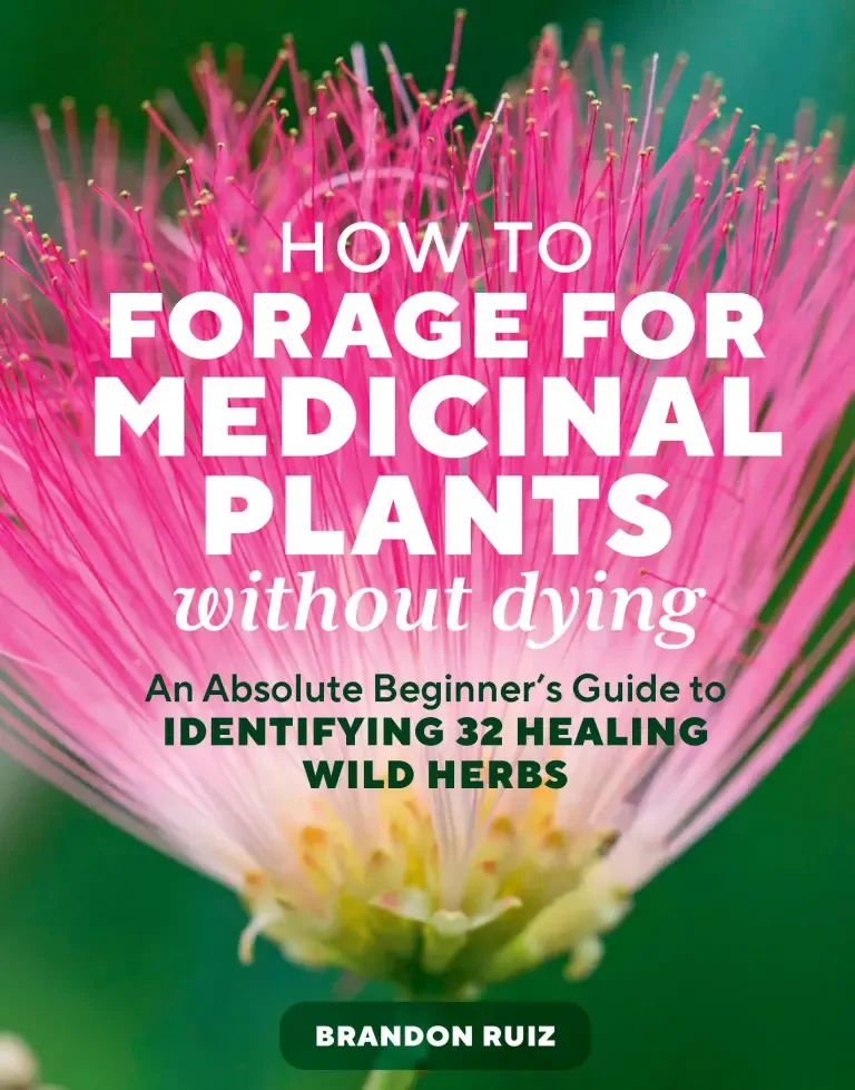 *PRE-ORDER* How to Forage for Medicinal Plants without Dying *PRE-ORDER* How to Forage for Medicinal Plants without Dying