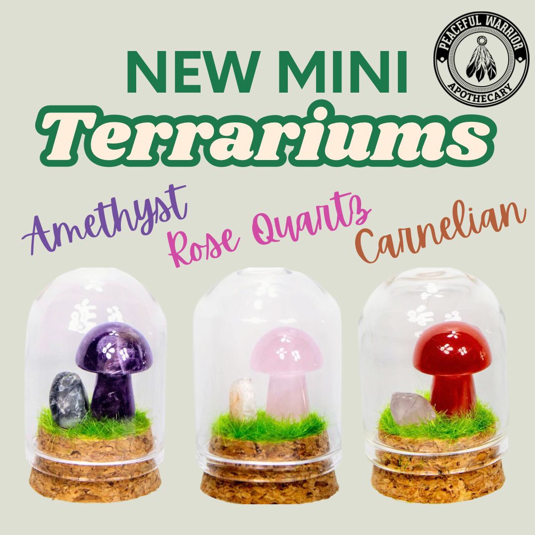 Crystal Mushroom Terrarium