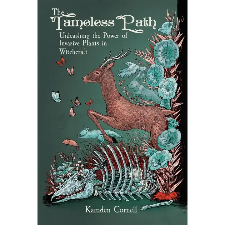 Tameless Path Tameless Path