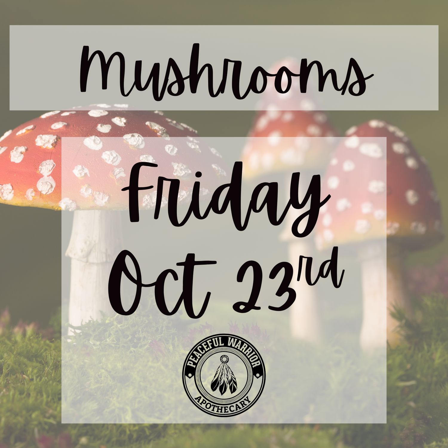 Mystical &amp; Medicinal Mushrooms - Friday Oct 23rd @ 6:30pm