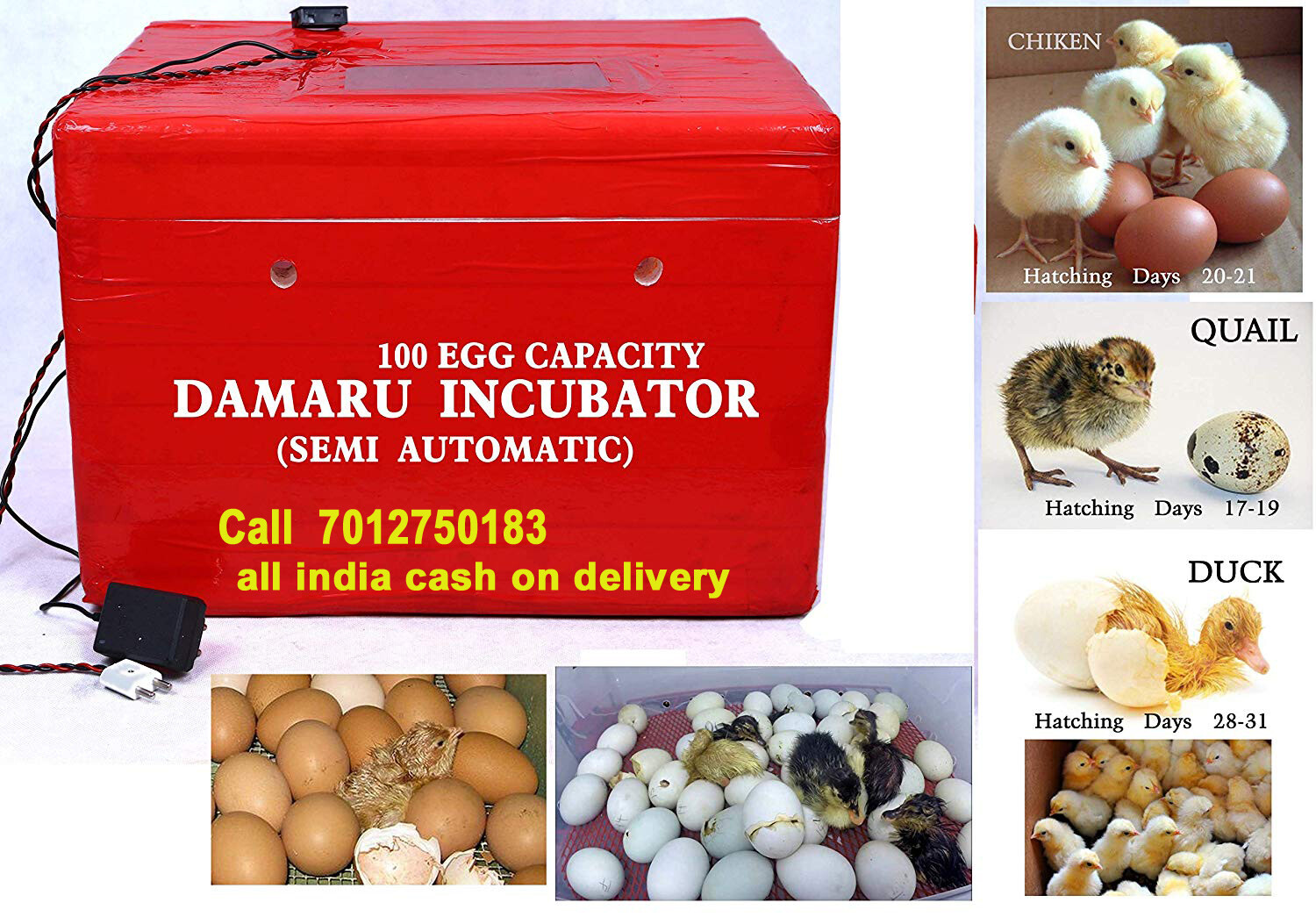 DAMARU 100 Egg Incubator/Chicken Ducks, Pigeons Quail Hatchery Machine for Eggs