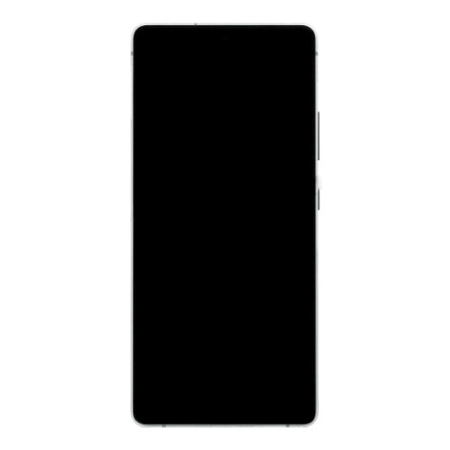 Samsung Galaxy S10 Lite Bildschirm Grün
