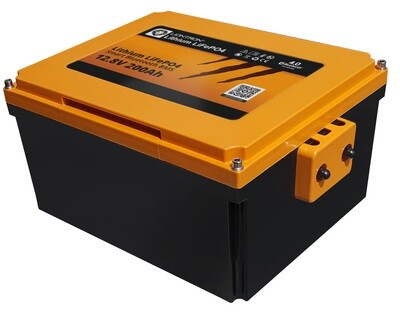 LIONTRON Lithium LiFePO4 LX Smart BMS 12,8V Wohnmobil Untersitz Batterie 12,8V 200Ah LIONTRON Lithium LiFePO4 LX Smart BMS 12,8V Wohnmobil Untersitz Batterie 12,8V 200Ah