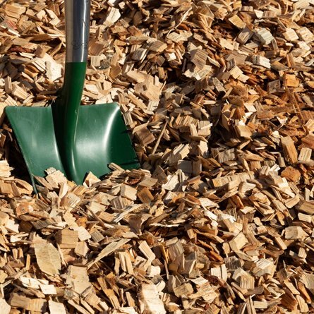 Pine Chip