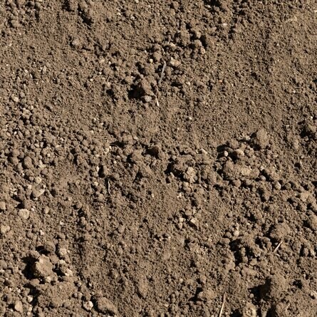 Recycled Soil