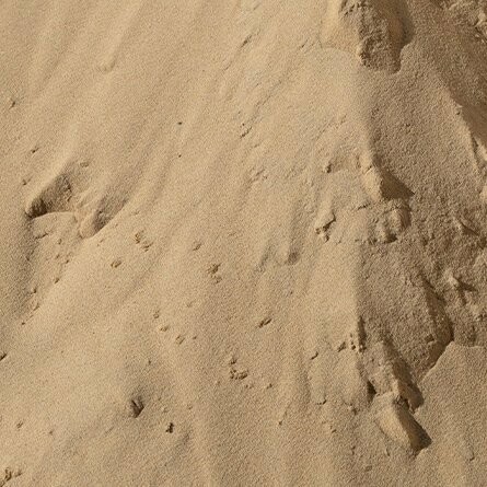 Uni Sand