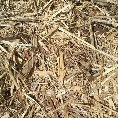 Sugar Cane Mulch