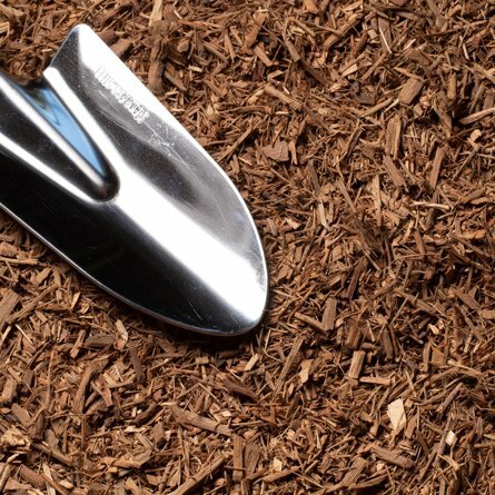 Eucalyptus Mulch