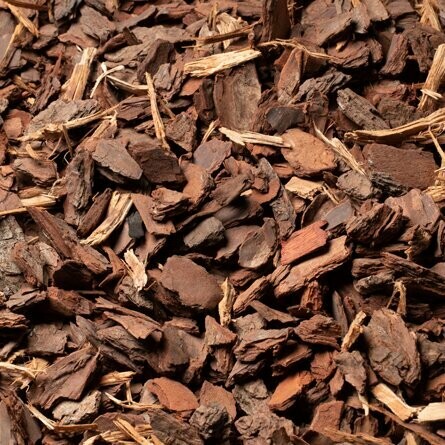 Pine Bark