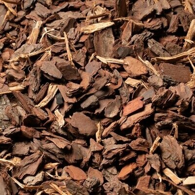 Pine Bark