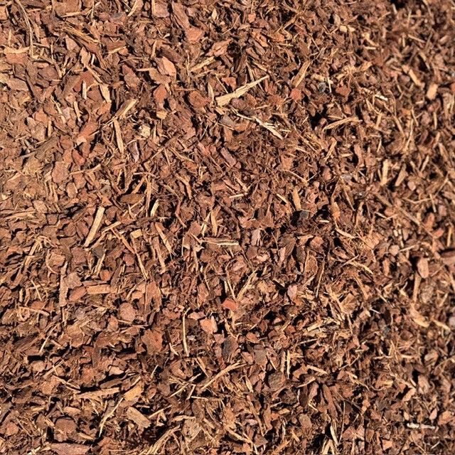 Pine Bark