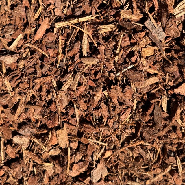 Pine Bark