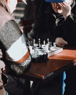 WinChess Free Online Chess Lesson for Elders